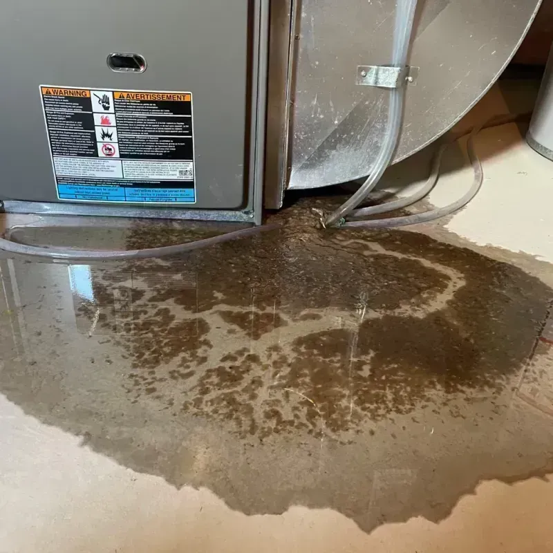 Appliance Leak Cleanup in Chambersburg, PA